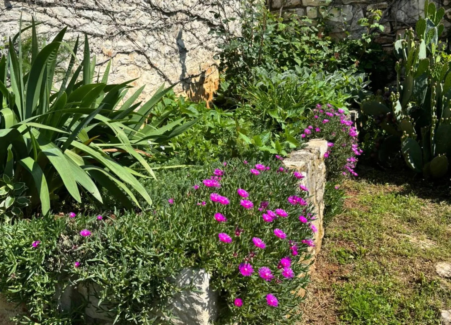 Domos Selene Casa Luna Tinjan Bed and Breakfast