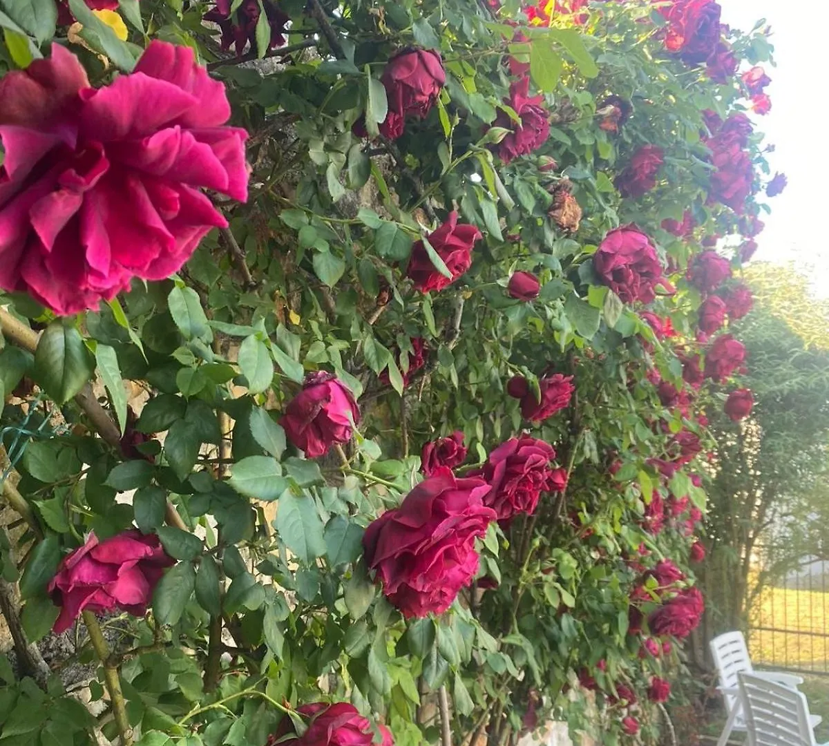 Bed and Breakfast Domos Selene Casa Luna Tinjan Κροατία