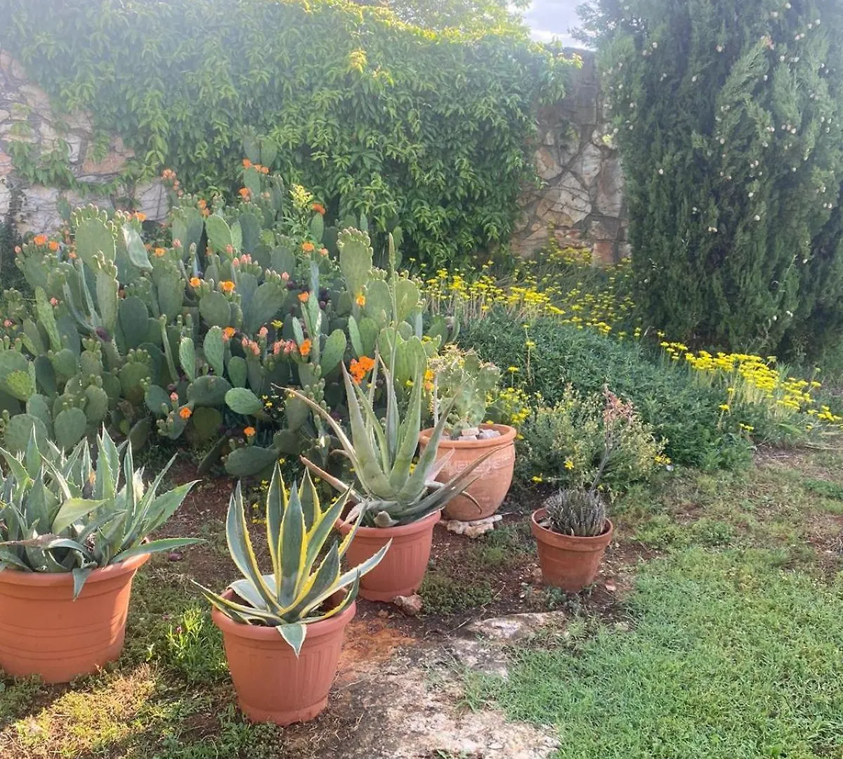 Domos Selene Casa Luna Tinjan