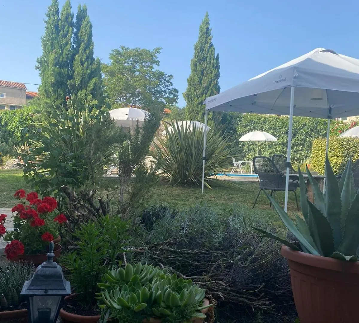 Bed and Breakfast Domos Selene Casa Luna Tinjan