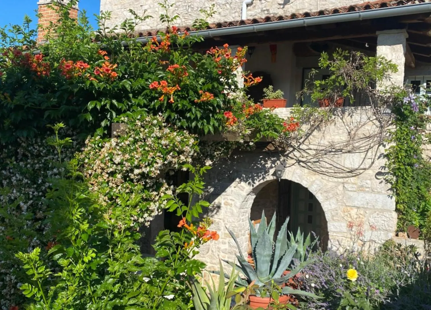 Bed and Breakfast Domos Selene Casa Luna Tinjan